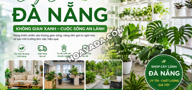 Cay-Canh-Da-Nang-–-Giai-Phap-Khong-Gian-Xanh-Hien-Dai-Cho-Nha-O--Van-Phong-Va-Du-An