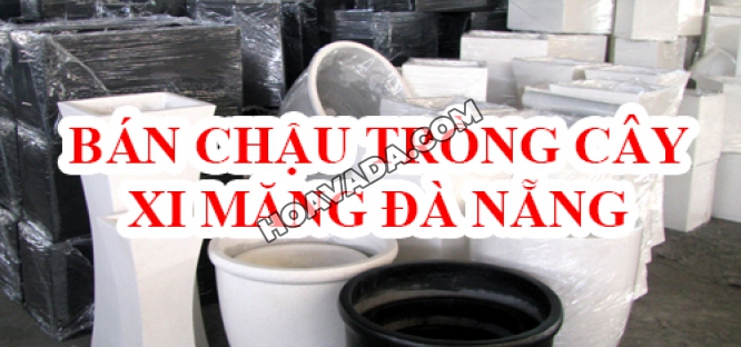 Ban-chau-xi-mang-trong-cay-Da-Nang