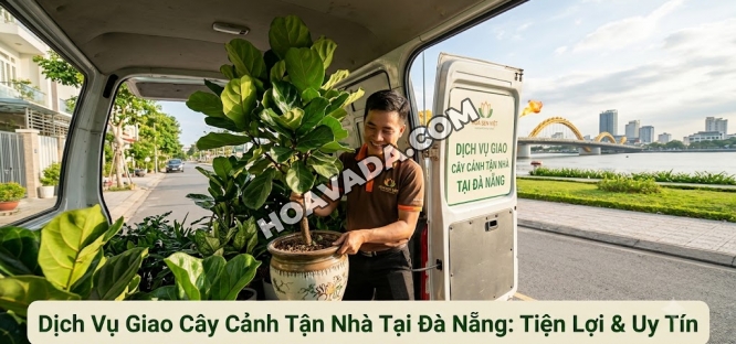Dich-Vu-Giao-Cay-Canh-Tan-Nha-Tai-Da-Nang:-Nhung-Dieu-Can-Biet
