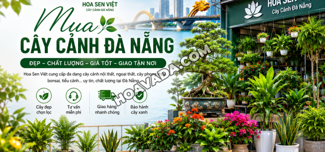 Mua-Cay-Canh-Da-Nang-Dep--Gia-Tot--Uy-Tin-2026