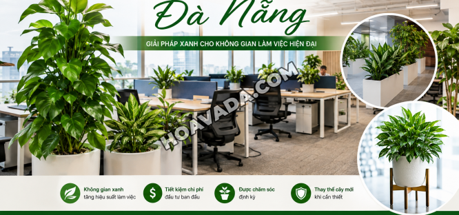 Thue-cay-van-phong-Da-Nang-–-Giai-phap-xanh-nang-tam-khong-gian-lam-viec-hien-dai