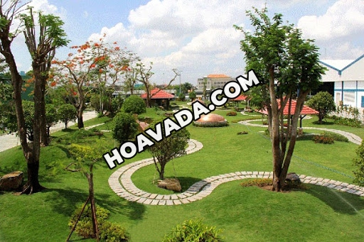 Cay-xanh-Da-Nang---Gia-ban--dia-chi-ban-cay-xanh-Da-Nang