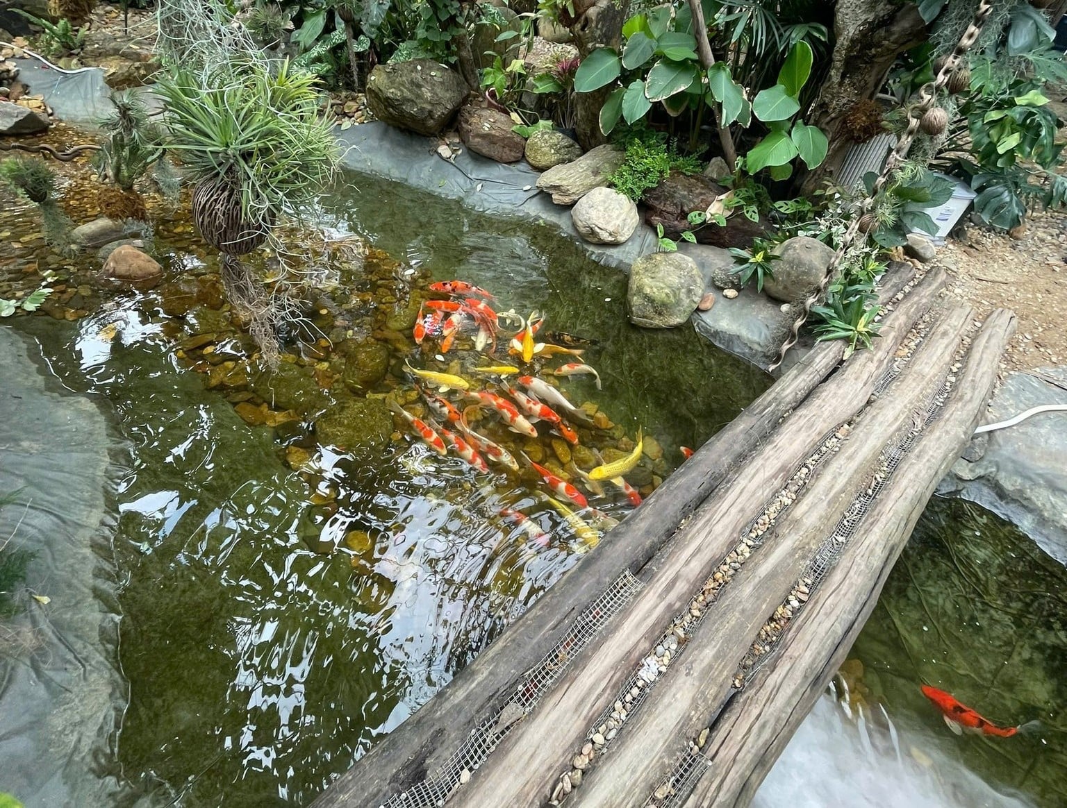 cafe nhiệt đới đà nẵng