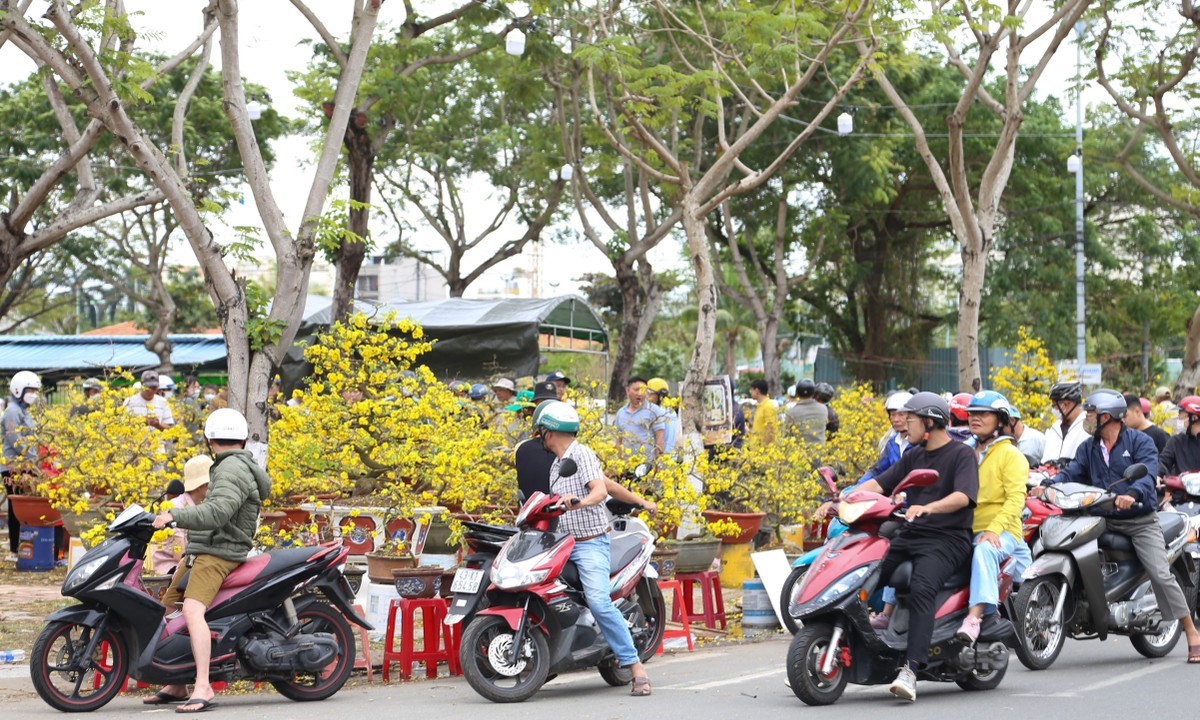 hoa tết đà nẵng