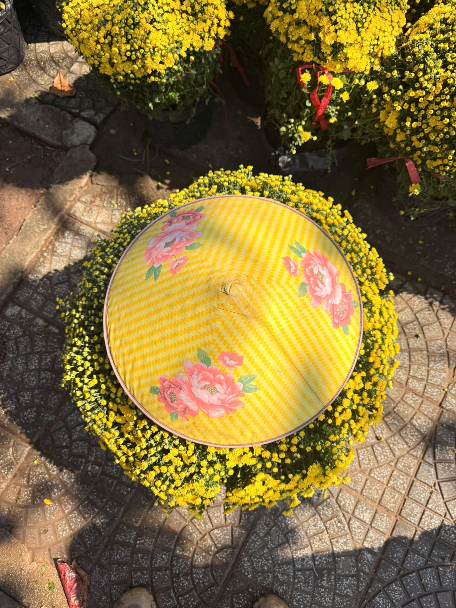 Chậu cúc mâm xôi trang trí trước nhà ngày Tết